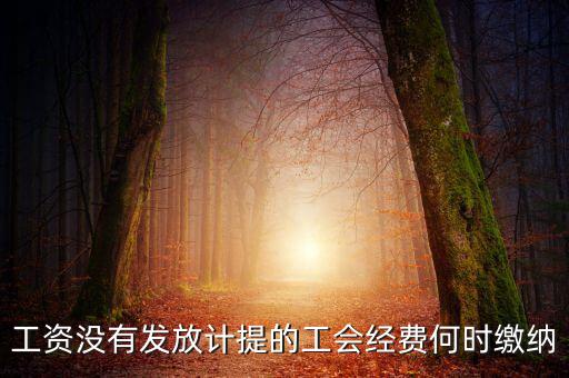 工會(huì)經(jīng)費(fèi)一般什么時(shí)候交，工資沒有發(fā)放計(jì)提的工會(huì)經(jīng)費(fèi)何時(shí)繳納