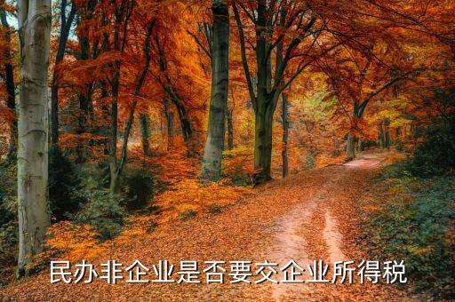 非企業(yè)單位交什么稅，非居民企業(yè)的征稅范圍