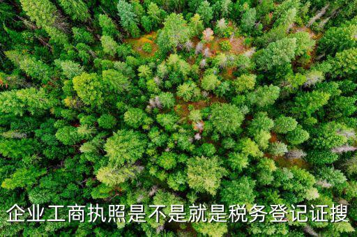 什么是工商稅務(wù)登記證，什么是稅務(wù)證