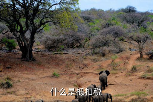 什么是稅費(fèi)抵扣，抵扣是什么概念
