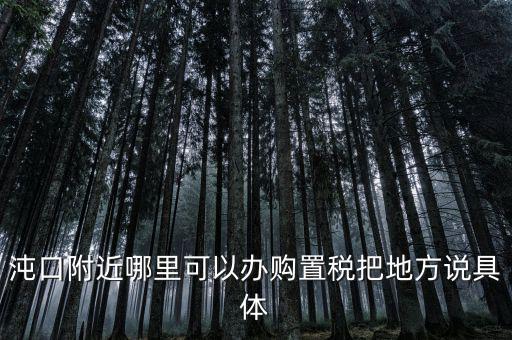 漢陽稅務(wù)局什么車，沌口附近哪里可以辦購置稅把地方說具體