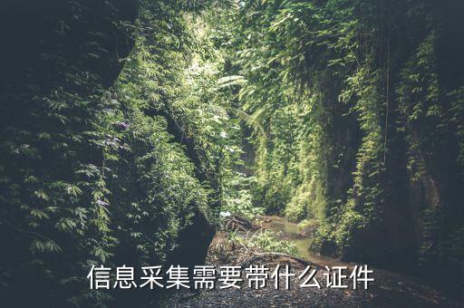 實(shí)名信息采集帶什么東西，去銀行辦理對公信息采集表需要帶哪些東西