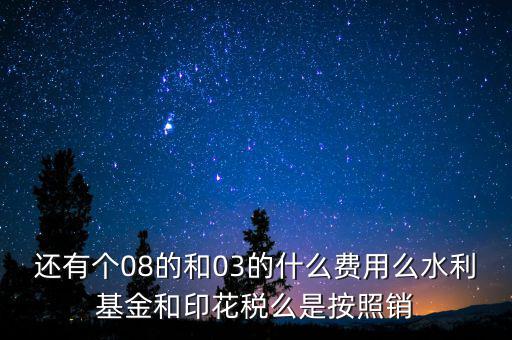 水利基金指收什么費(fèi)，水利基金計(jì)入什么科目