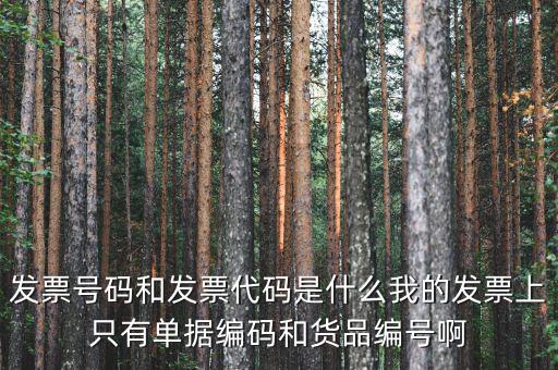 發(fā)票代碼和發(fā)票號碼是什么，發(fā)票代碼和發(fā)票號碼有什么用