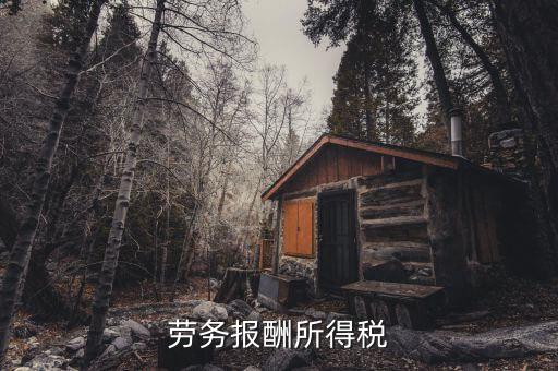什么是勞動報酬稅，勞務(wù)稅是什么