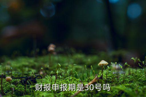 財務(wù)報表季申報是什么時候，季度財務(wù)報表時間是14710月份為什么國稅網(wǎng)上的季度財務(wù)報