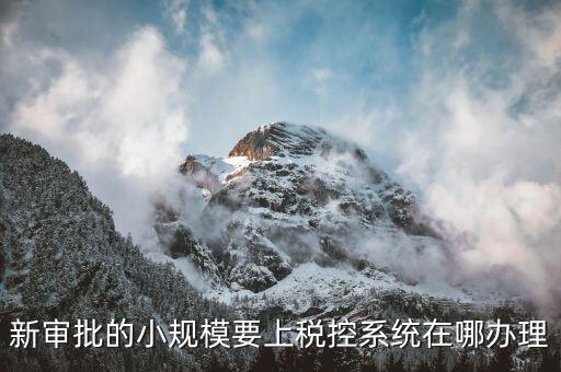 什么是小規(guī)模稅控升級，新審批的小規(guī)模要上稅控系統(tǒng)在哪辦理
