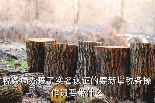 四川國稅局實名認證需要什么資料，國稅發(fā)票認證需要準備那些資料 到大廳辦的時候工作人員叫我拿U盤