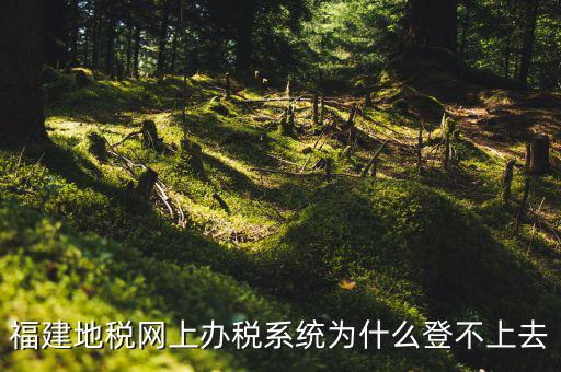 企業(yè)所得稅系統(tǒng)為什么登不上，福建地稅網(wǎng)上辦稅系統(tǒng)為什么登不上去