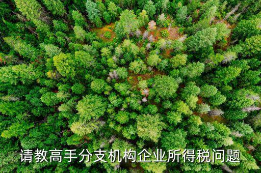 企業(yè)所得稅分管單位是什么意思，企業(yè)所得稅主管稅務(wù)局指的是什么