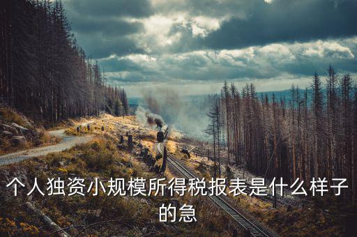 所得稅報表是什么樣的，企業(yè)所得稅年度納稅申報表