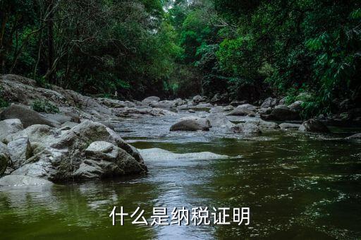 納稅居民身份證明是什么，報(bào)稅時(shí)外籍人員的身份證明是什么