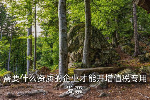 什么公司可以開增值稅專用發(fā)票，什么樣的企業(yè)才能開增值稅專用發(fā)票