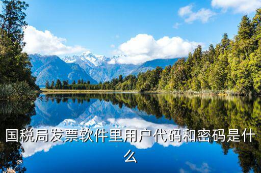 國(guó)稅用戶密碼是什么，你好我想問(wèn)你 一下 網(wǎng)上國(guó)稅的用戶名和密碼是什么