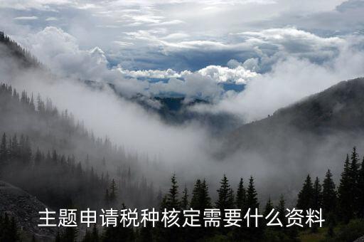 國稅網(wǎng)上核定票種需要什么資料，剛拿到營業(yè)執(zhí)照下一步去稅務(wù)局核定稅種需要帶哪些資料