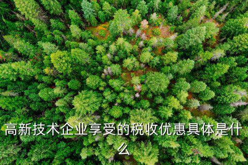 什么是享受稅收優(yōu)惠權(quán)，什么是稅收優(yōu)惠政策