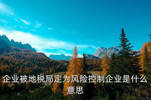 地稅房地產(chǎn)風控是什么意思，風控是什么意思