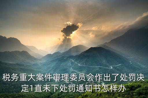 重大稅務案件審理委員會審什么，經(jīng)重大案件審理的稅務案件由哪一個部門移送