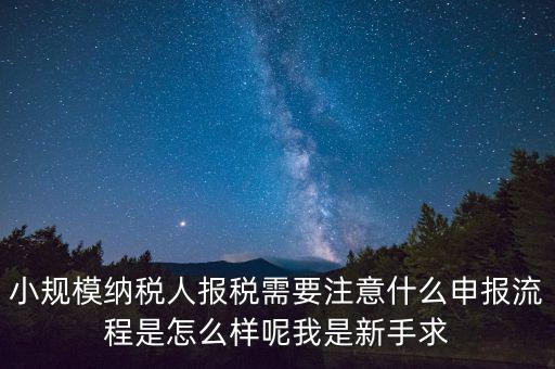 報(bào)稅需要注意什么手續(xù)，一般納稅人每個(gè)月怎么報(bào)稅報(bào)稅時(shí)要注意什么流程是怎么樣的