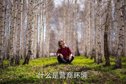 國稅局營商環(huán)境調(diào)查什么，國稅調(diào)函會查什么呢有一家進出口公司說會下廠對我們公司調(diào)函  搜