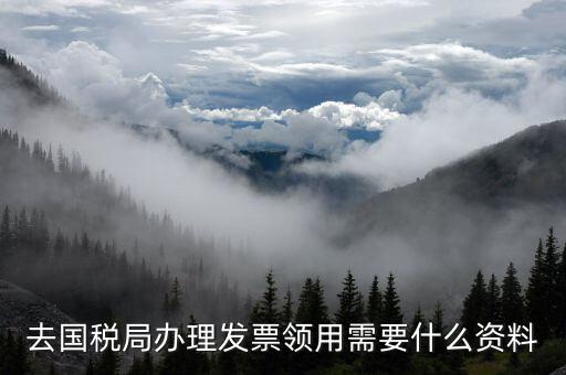 去國稅局辦理發(fā)票領用需要什么資料