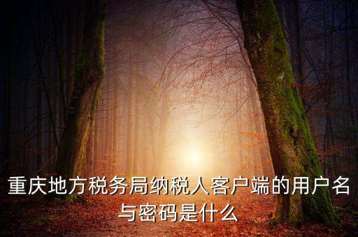 重慶國稅電子發(fā)票登錄密碼是什么，國稅局發(fā)票軟件里用戶代碼和密碼是什么
