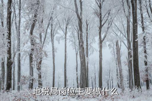 地稅大企業(yè)局做什么的，地稅局崗位主要做什么