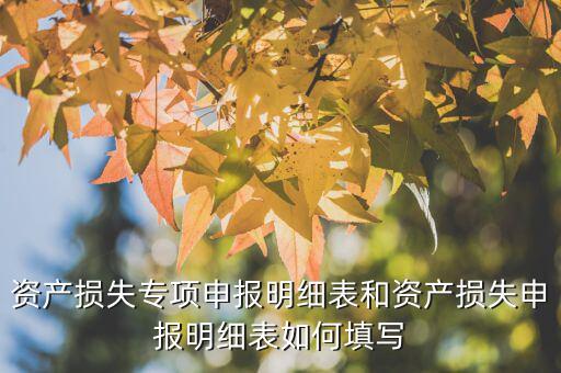 什么是專項(xiàng)資產(chǎn)損失申報表，所得稅申報表怎么填22資產(chǎn)損失