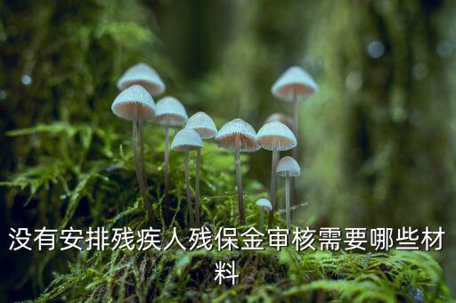 福建殘保金備案需要什么資料，求助2012年殘保金申請(qǐng)流程