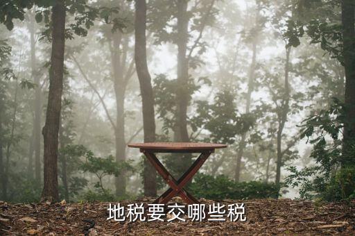地方稅務(wù)局都涉及到什么稅種，地稅局系統(tǒng)征收哪些稅種
