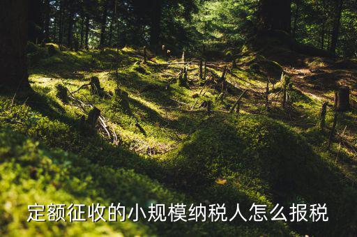 小規(guī)模納稅人 什么定額申報，定額征收的小規(guī)模納稅人怎么報稅