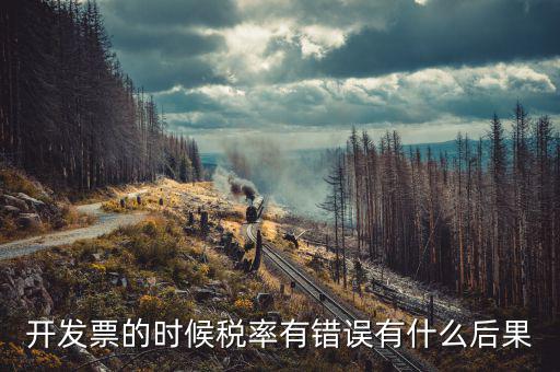 增值稅稅率稅率錯誤的是什么意思，開發(fā)票的時候稅率有錯誤有什么后果