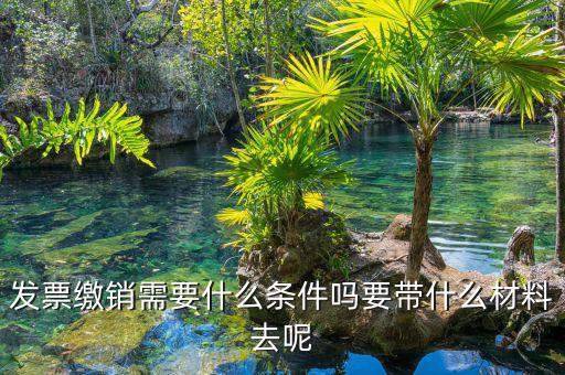 票證結(jié)報繳銷包括什么，去國稅局做稅票結(jié)報要帶哪些東西