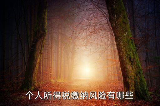 所得稅申報時有什么風險提示，個人所得稅繳納風險有哪些