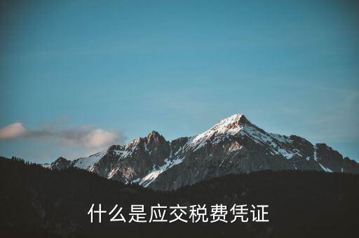 稅金憑證是什么意思，完稅證明什么意思