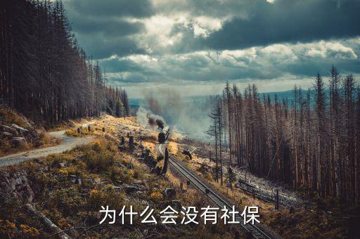 申報社保為什么沒有社保內(nèi)容，為什么會沒有社保