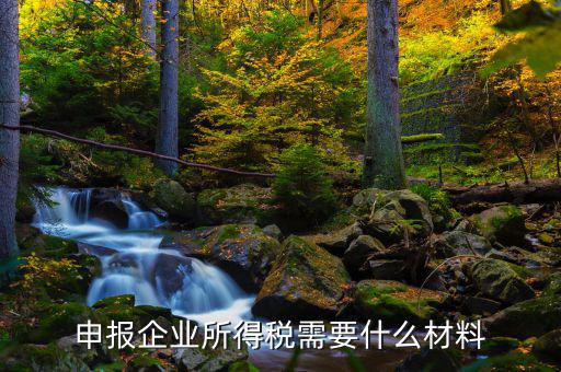 企業(yè)所得稅補(bǔ)申報需要什么，申報企業(yè)所得稅需要什么材料