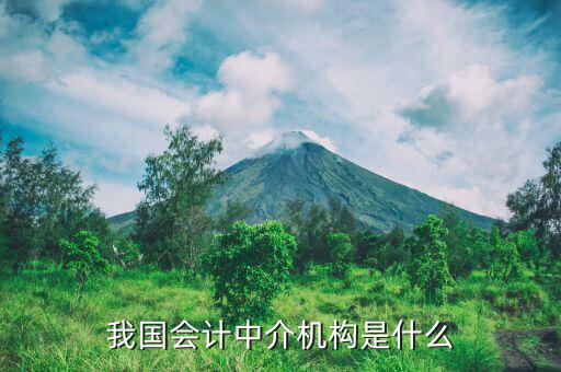 什么是涉稅中介機構，我國會計中介機構是什么