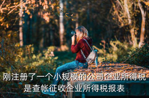 剛注冊了一個(gè)小規(guī)模的公司企業(yè)所得稅是查帳征收企業(yè)所得稅報(bào)表