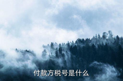 付款人稅號(hào)是什么，轉(zhuǎn)賬稅號(hào)指的是什么