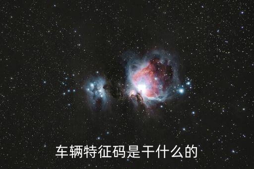 稅政科是干什么的，稅務局里的稅政科和征管科都有哪些功能