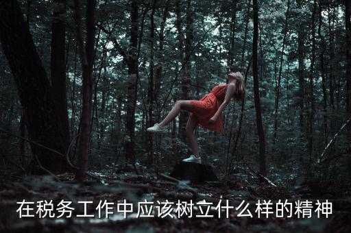 中國(guó)稅務(wù)精神是什么2018，在稅務(wù)工作中應(yīng)該樹立什么樣的精神
