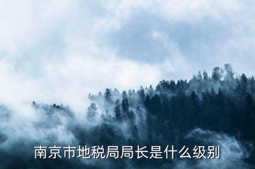 南京市地稅局調(diào)研員是什么級別，南京市地稅局局長是什么級別