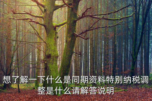 關(guān)聯(lián)申報(bào)同期資料是什么，想了解一下什么是同期資料特別納稅調(diào)整是什么請解答說明