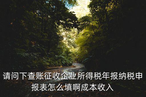企業(yè)所得稅申報查賬是什么表，剛注冊了一個小規(guī)模的公司企業(yè)所得稅是查帳征收企業(yè)所得稅報表