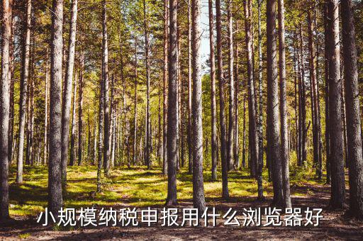國稅申報表用什么閱讀器打開，如何查看國稅申報樹形報表