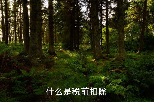 什么是所得稅前扣除，什么是稅前扣除