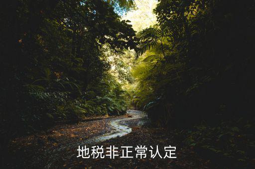 地稅局發(fā)布公告非正常戶是什么意思，地稅非正常認(rèn)定