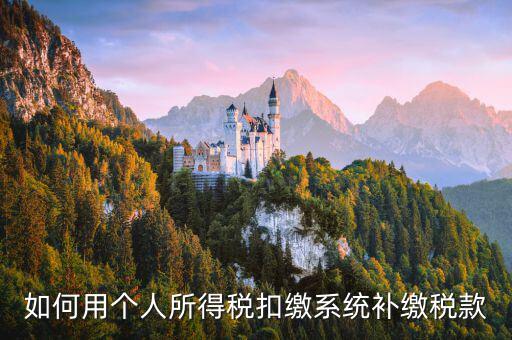個(gè)人所得稅用什么系統(tǒng)，個(gè)人所得稅代扣代繳系統(tǒng) 支持Windows7 嗎