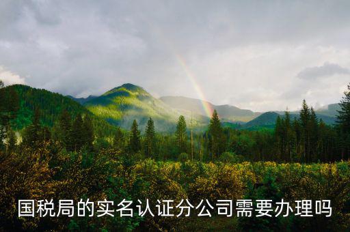 四川國稅局實名認證需要什么手續(xù)，在國稅局辦理法人實名制認證要帶什么材料